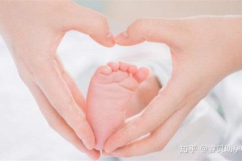 http://jiaxing.51dzb.net/post/188.html|嘉兴新闻中心