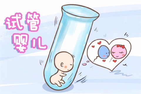 http://jiaxing.51dzb.net/post/212.html|嘉兴新闻中心